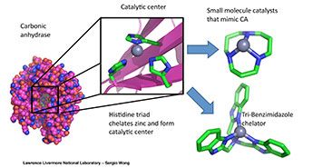 Giáo trình enzyme